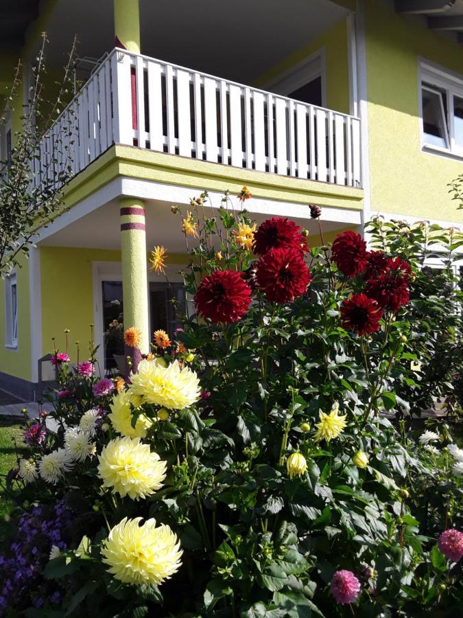 Apartments Steger 팍암시 외부 사진